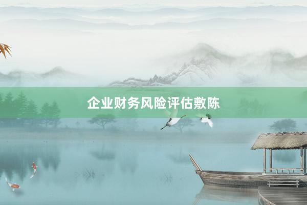 企业财务风险评估敷陈