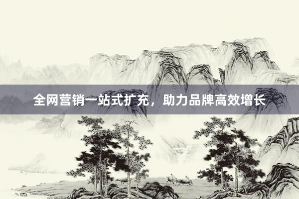 全网营销一站式扩充，助力品牌高效增长