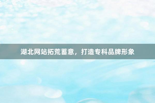湖北网站拓荒蓄意，打造专科品牌形象