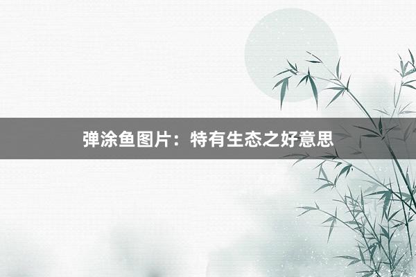 弹涂鱼图片：特有生态之好意思