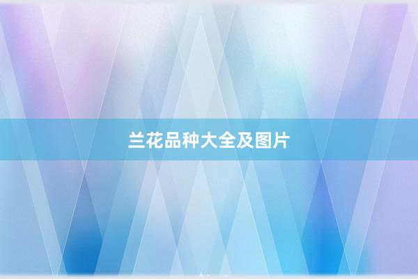 兰花品种大全及图片